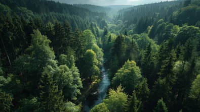 Firma Graepel sät Zeichen für Biodiversität